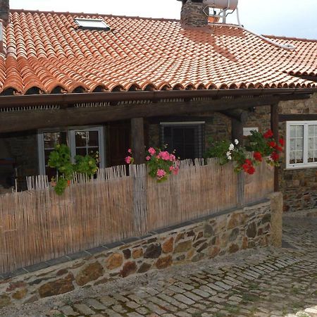 Apimonte Casa Do Pascoal - Pn Montesinho Βίλα Bragança Εξωτερικό φωτογραφία