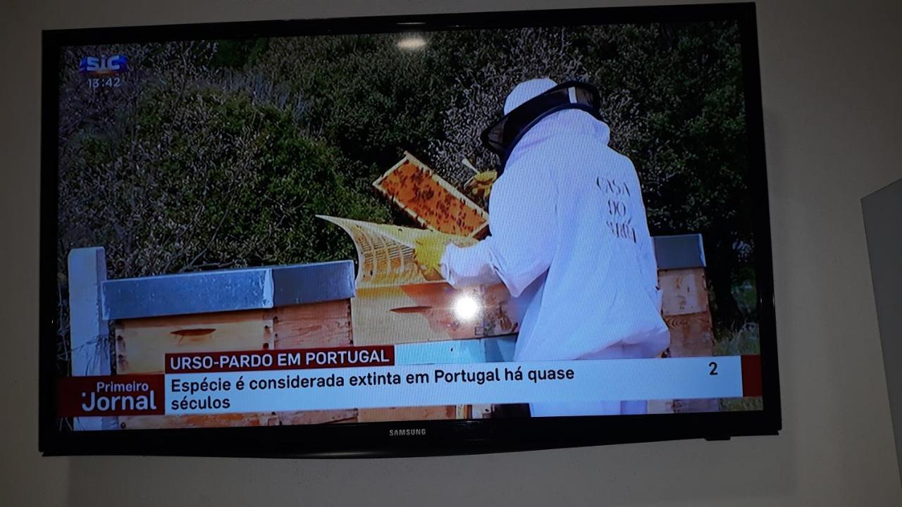Apimonte Casa Do Pascoal - Pn Montesinho Βίλα Bragança Εξωτερικό φωτογραφία