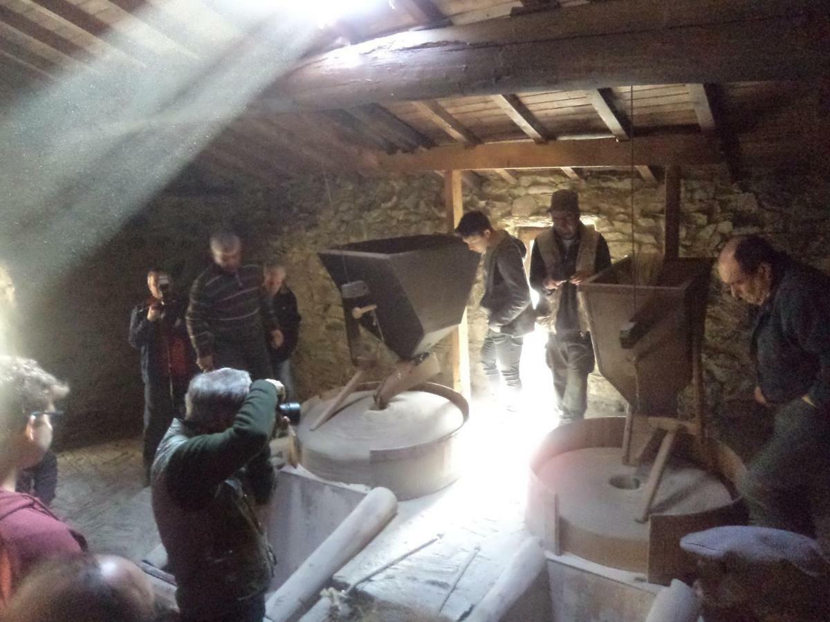Apimonte Casa Do Pascoal - Pn Montesinho Βίλα Bragança Εξωτερικό φωτογραφία