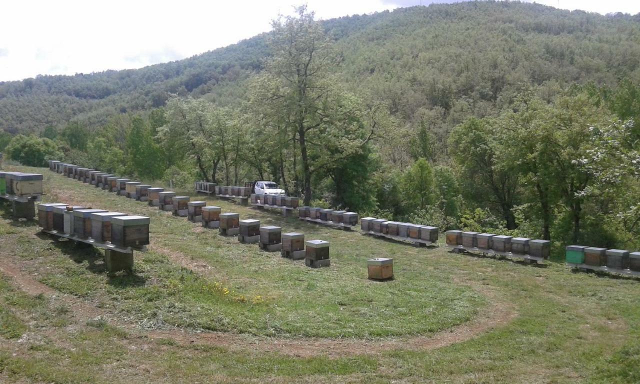 Apimonte Casa Do Pascoal - Pn Montesinho Βίλα Bragança Εξωτερικό φωτογραφία