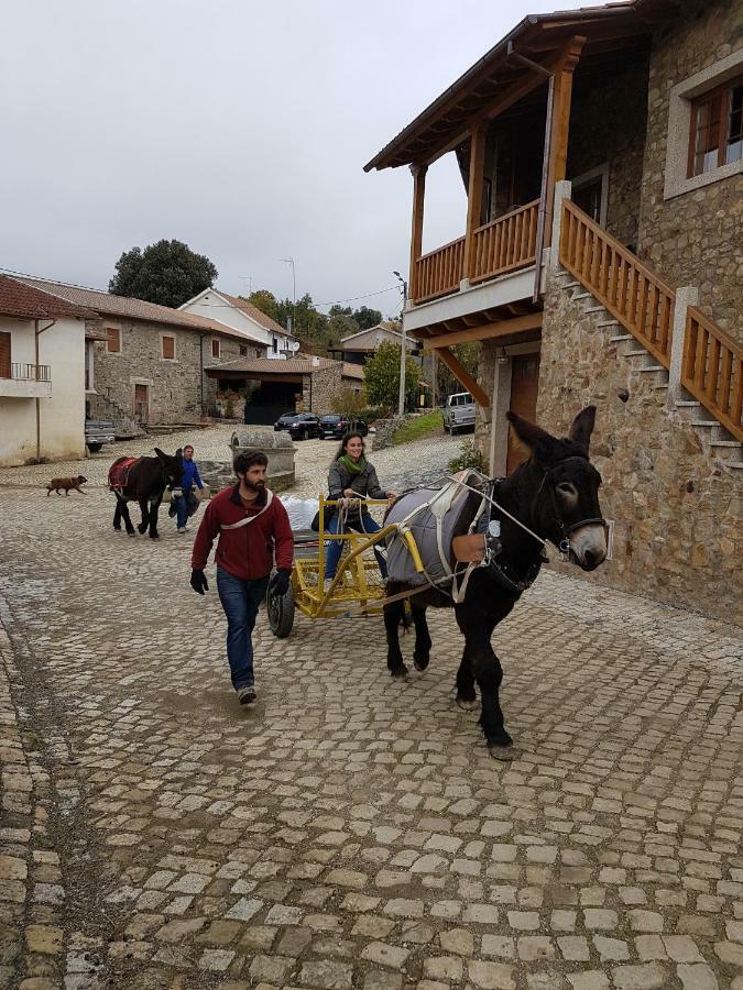 Apimonte Casa Do Pascoal - Pn Montesinho Βίλα Bragança Εξωτερικό φωτογραφία